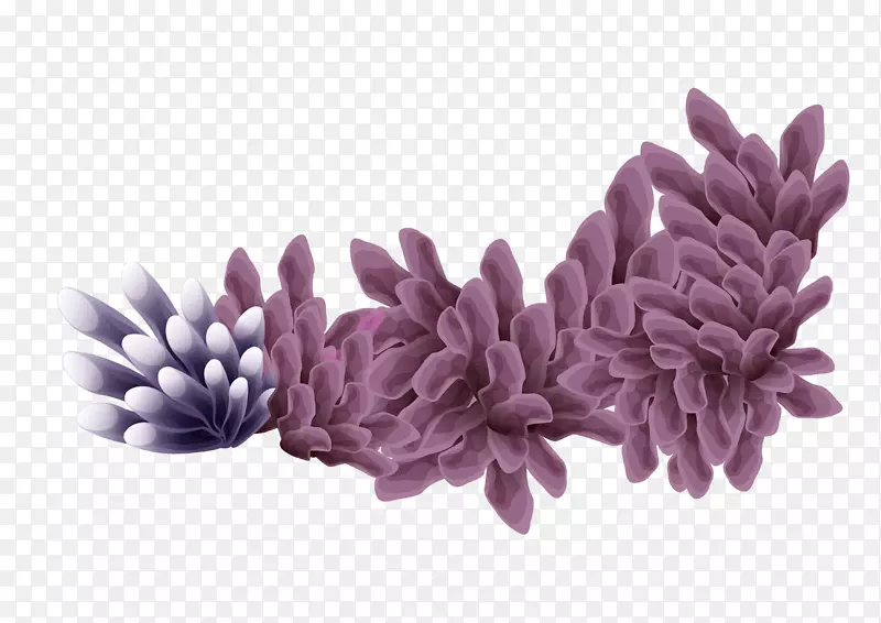 海底珊瑚-紫色珊瑚
