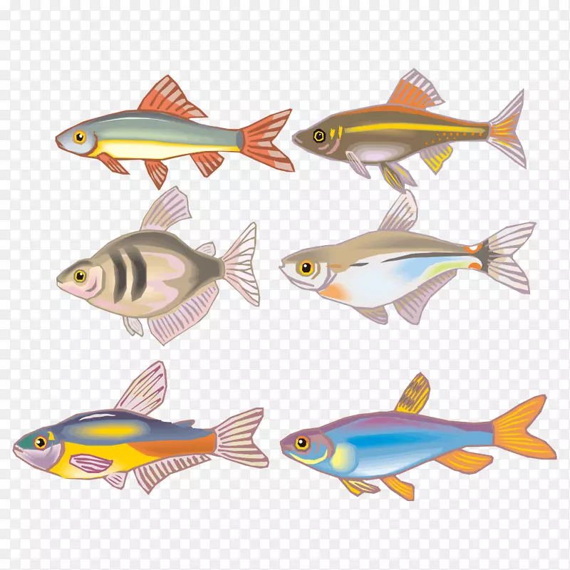 鱼类动画剪辑艺术-卡通鱼