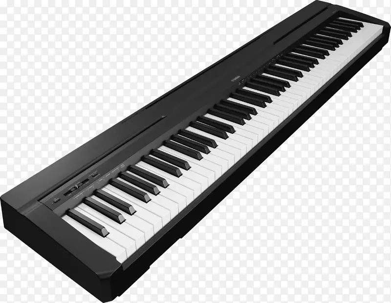 雅马哈p-115数字钢琴键盘动作-钢琴