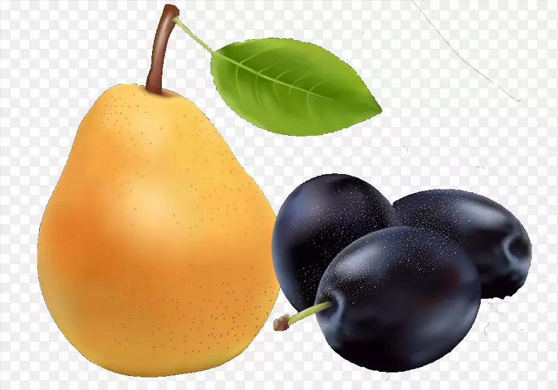 水果欧洲梨食品-梨