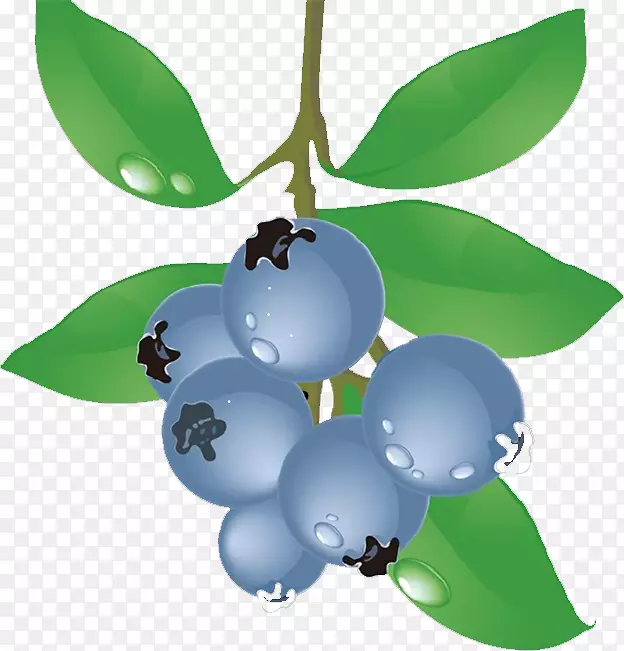 蓝莓食品葡萄-蓝莓