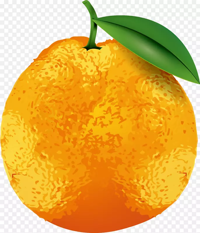 金门橘手漆黄梨叶