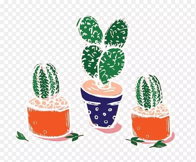 仙人掌科植物插图-仙人掌植物