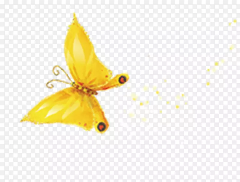 蝴蝶金色-金色蝴蝶