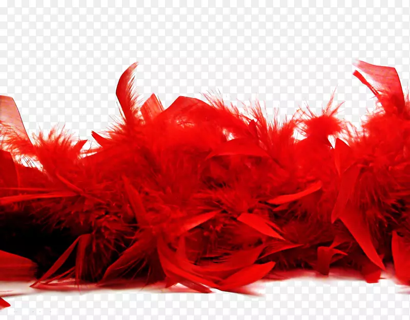 鸟类羽毛boa红色-红色羽毛自由扣材料