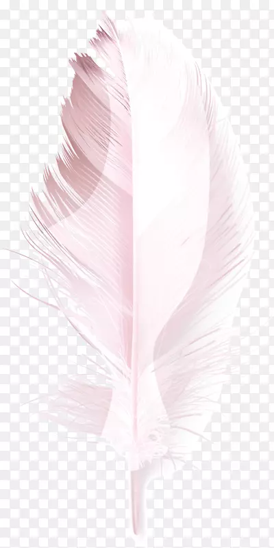 粉红羽毛