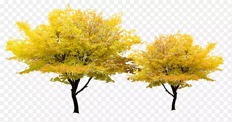 树黄色像素-秋季枫树