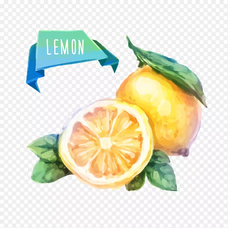 水彩画水果画插图.新鲜柠檬