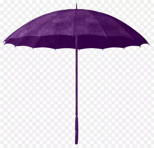 紫色雨伞