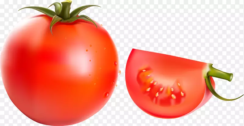 李子番茄樱桃番茄干酪三明治和番茄三明治-番茄
