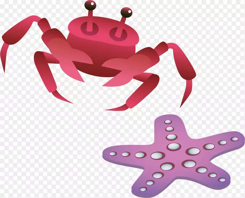 海星插图-蟹海星PNG载体材料
