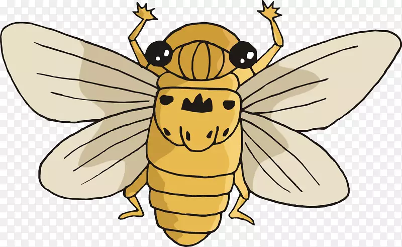 蜜蜂、昆虫、蚂蚁、动物-昆虫创造
