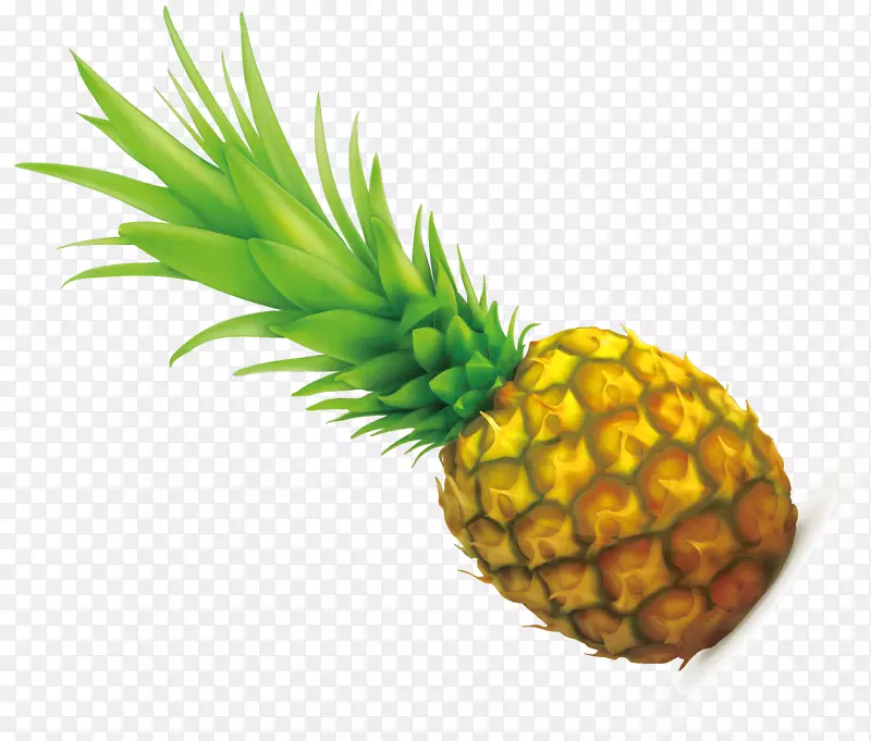 菠萝-手涂黄色菠萝绿色种子载体