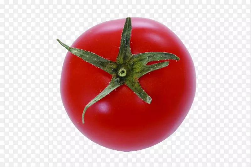 李番茄樱桃番茄灌木番茄红柿子