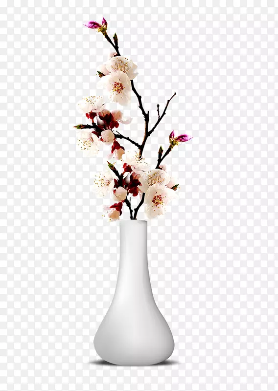花瓶面具面梅花瓶