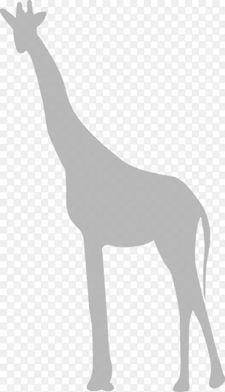 长颈鹿剪贴画-长颈鹿
