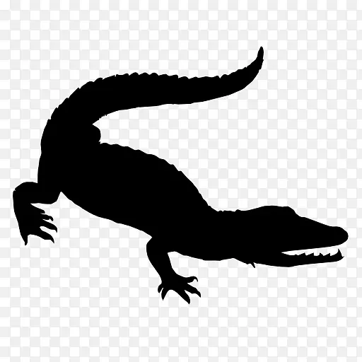 鳄鱼爬行动物-鳄鱼外形