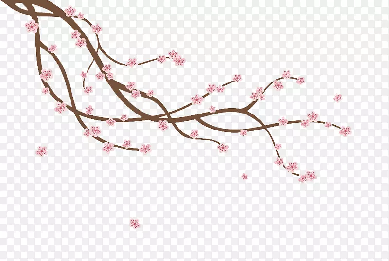 樱花枝叶插图-樱花芽