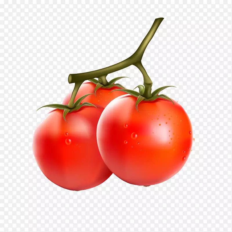 樱桃番茄蔬菜茄子番茄