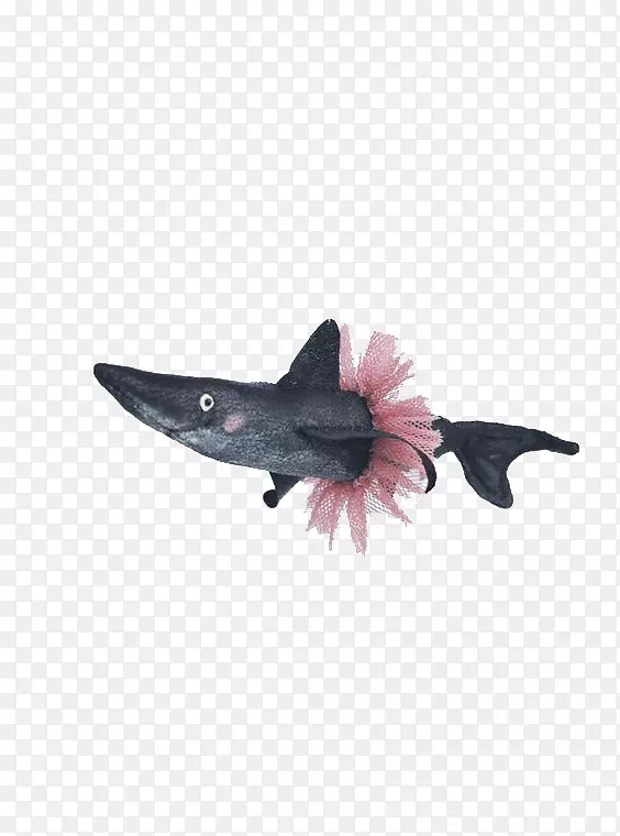 鲨鱼插图-卡通鲨鱼