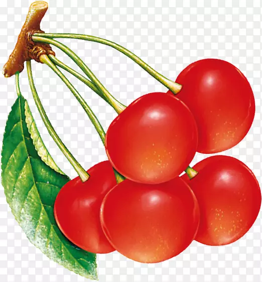 李子番茄樱桃果
