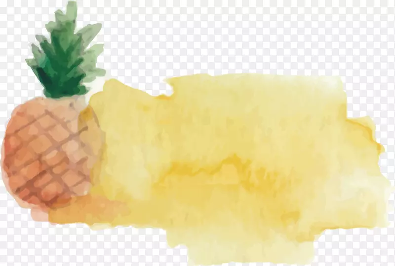 菠萝水彩画.水彩菠萝刷