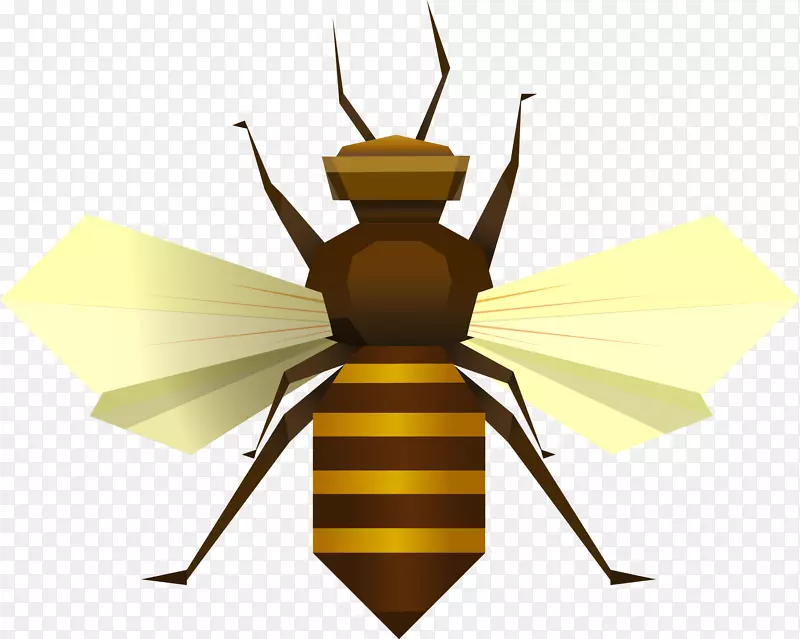 蜜蜂昆虫原料药FLOREA剪贴画-蜜蜂