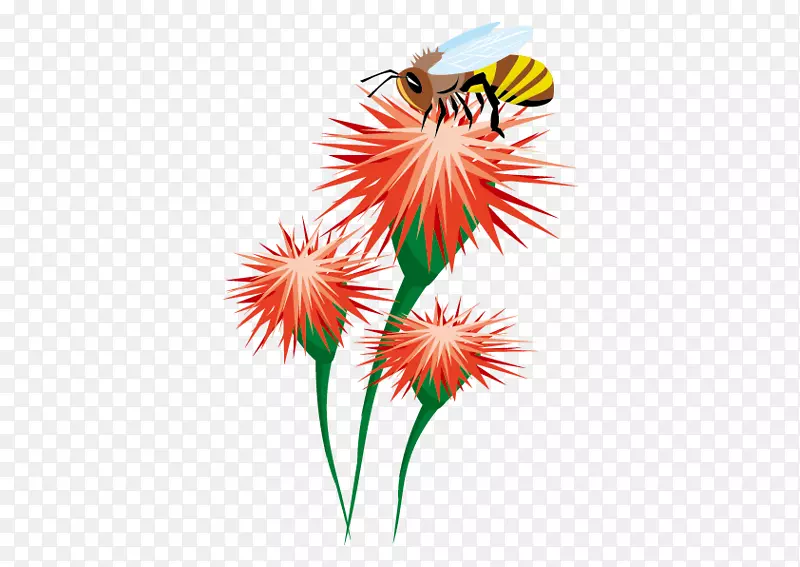 蜜蜂昆虫大黄蜂花蜂