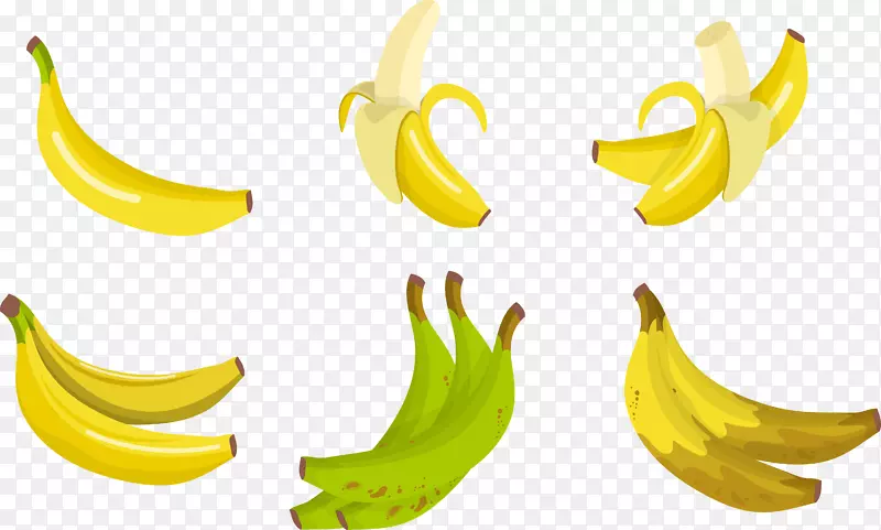 香蕉画-画香蕉