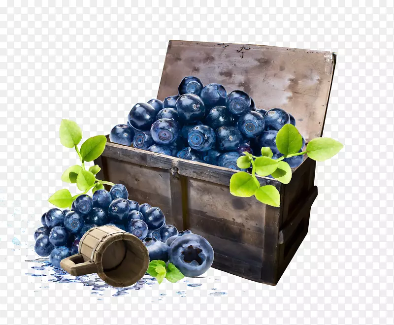 剪贴画-蓝莓