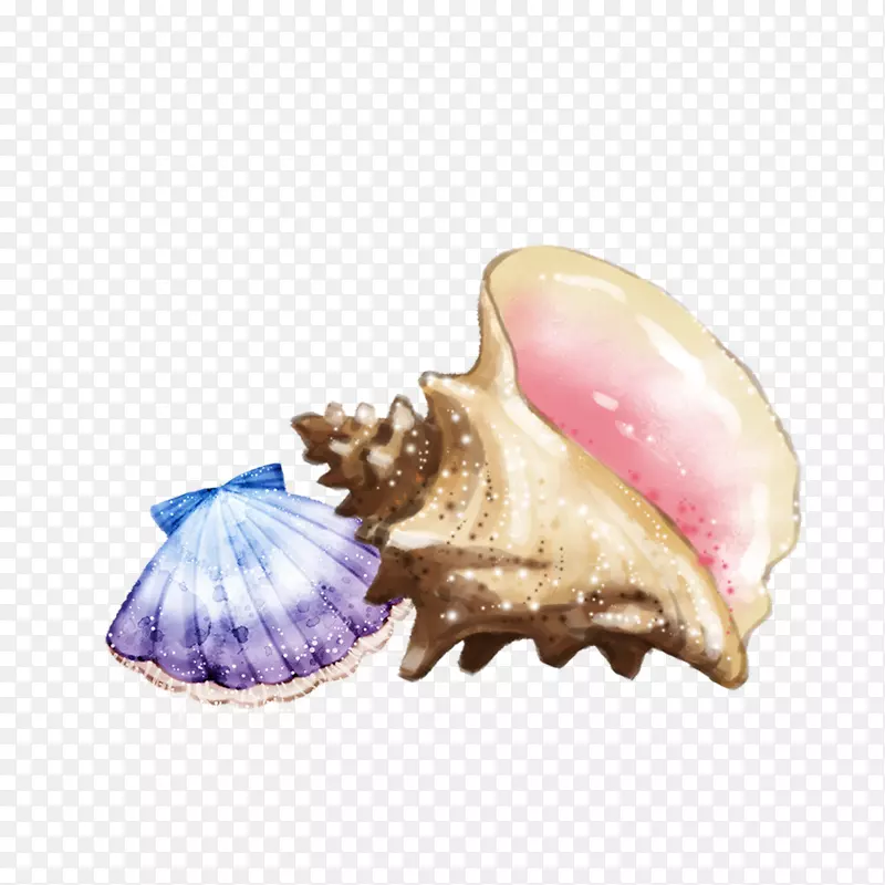 海螺、海螺和海螺