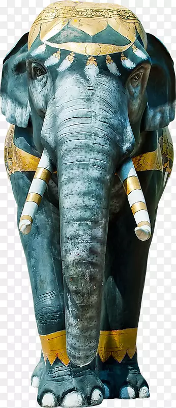 印度象手绘蓝象
