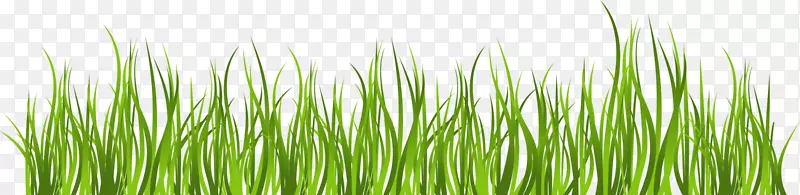 绿色剪贴画-绿色和简单的草