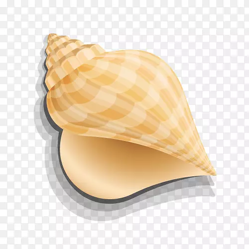 海贝壳计算机图形.金色海螺