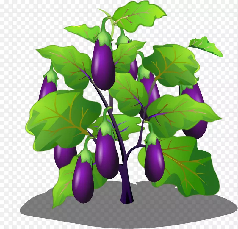 茄子植物卡通.卡通茄子树