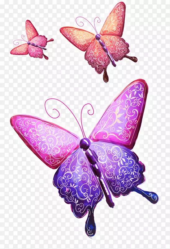 花卉设计画笔插图-创意彩色蝴蝶