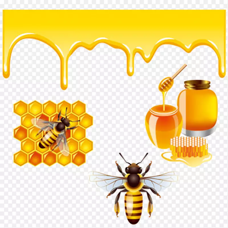 蜂王-免费蜜蜂和蜂蜜