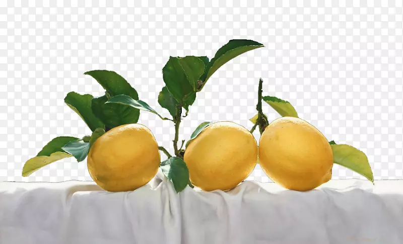 梅耶柠檬素食菜苦橙柠檬特写