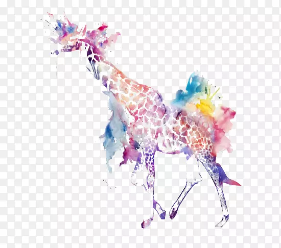 长颈鹿水彩画插图-画长颈鹿