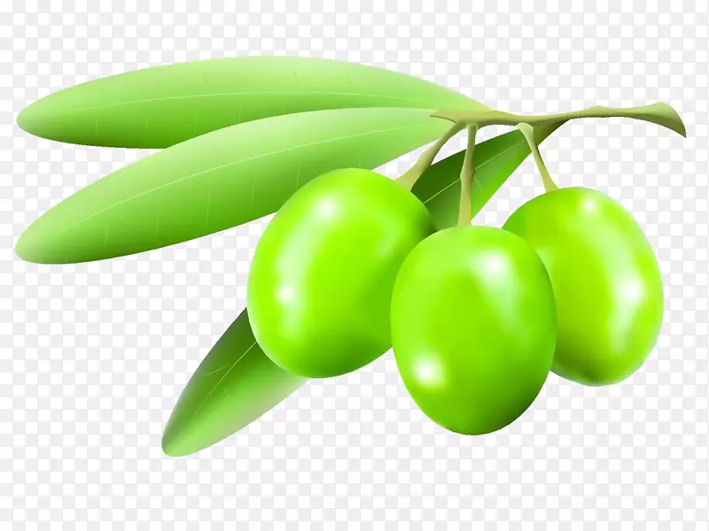 地中海菜有机食品蔬菜橄榄果橄榄载体