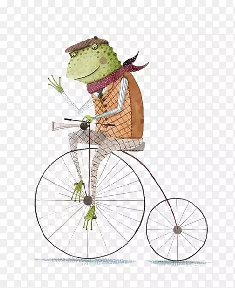 青蛙自行车轮图插图-青蛙