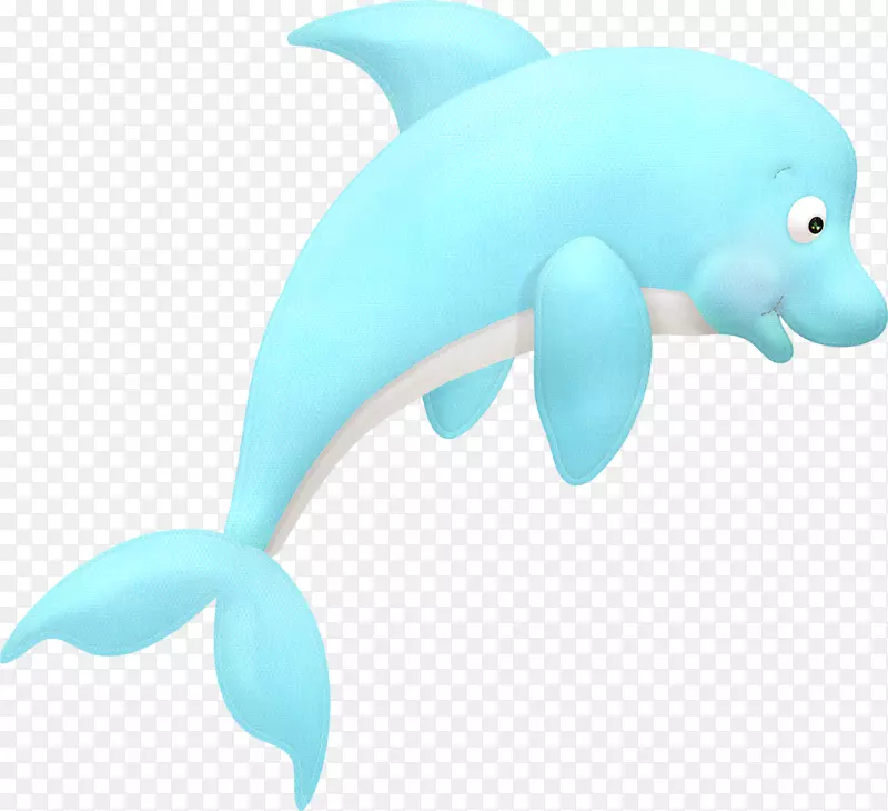 普通宽吻海豚图库溪蓝-蓝海豚