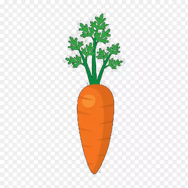 胡萝卜蔬菜白菜-胡萝卜配叶