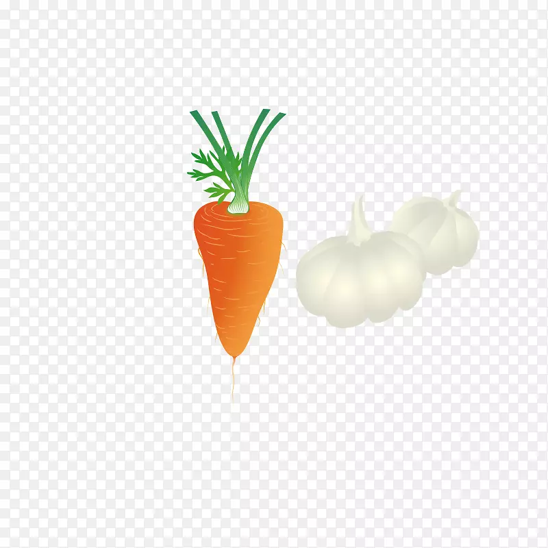 胡萝卜成分大蒜胡萝卜成分