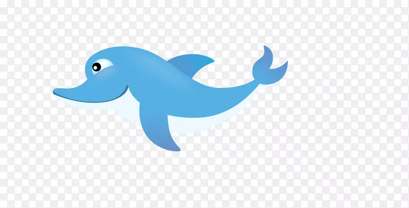 海豚插图-蓝色海豚