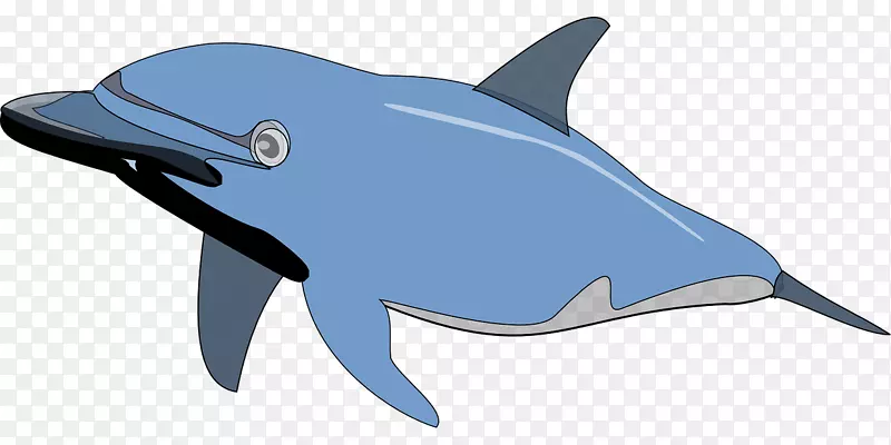 旋转海豚宽吻海豚剪贴画-蓝色海豚