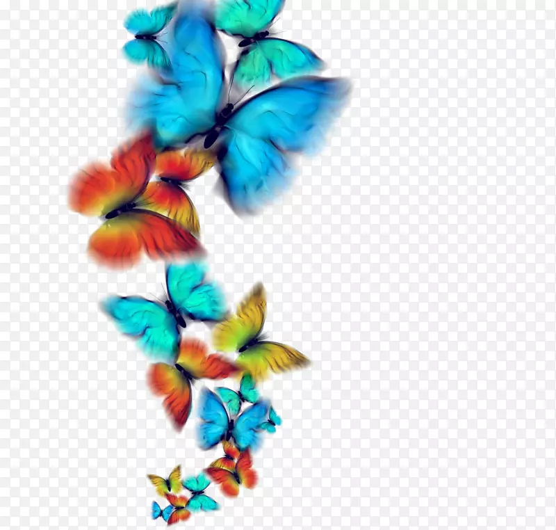 蝴蝶免费摄影-彩色蝴蝶