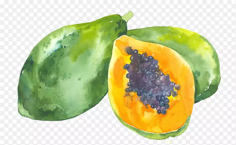 水彩画插图-画木瓜