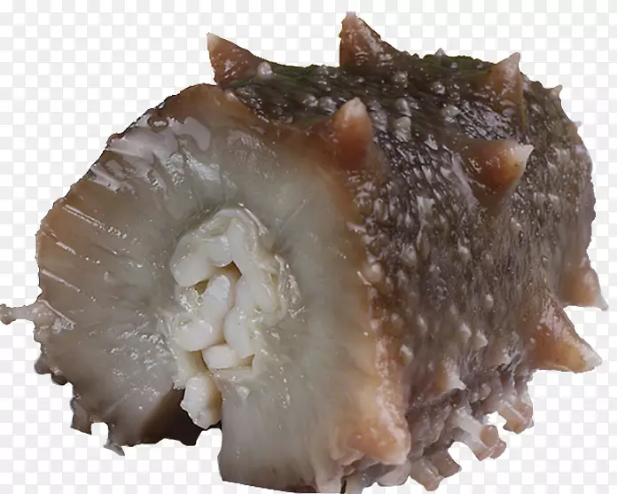 海参食品海鲜熟食黄瓜