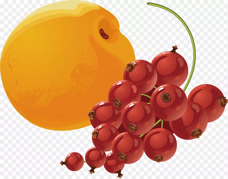 杏仁亚美尼亚食物浆果-杏和苏打水材料